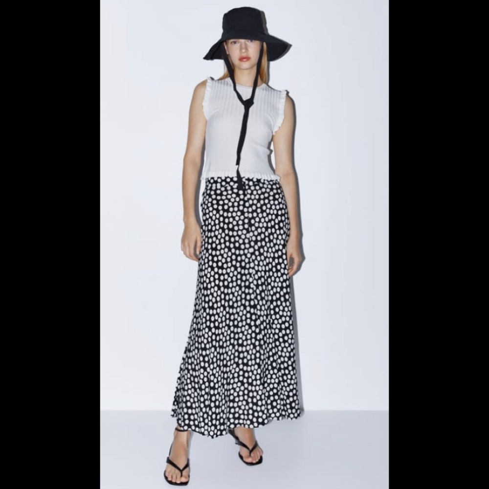 Zara Maxi Skirt